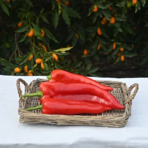 Kapya Biber (500 Gram)