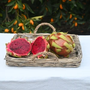 Ejder Meyvesi (1 Adet)