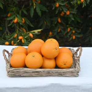 Portakal (1 Kilogram)