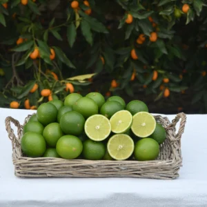 Misket Limon (Lime - 1 Kilogram)
