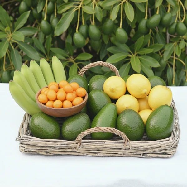 Paket Mini Mini Paket - Tropik Bahçe