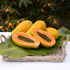 Papaya (1 Adet)