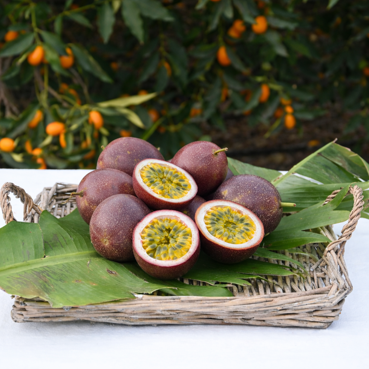 Passiflora (Çarkıfelek Meyvesi)