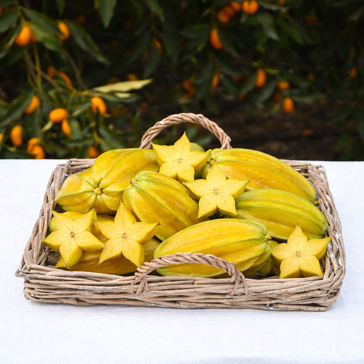 Yıldız Meyvesi (1 Adet)